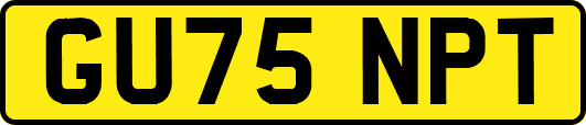 GU75NPT