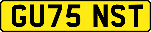 GU75NST
