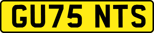 GU75NTS