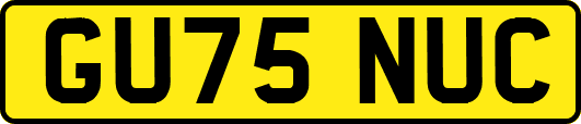 GU75NUC