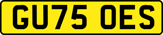 GU75OES