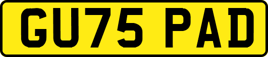 GU75PAD