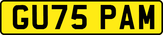 GU75PAM