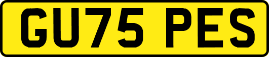 GU75PES