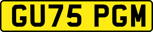 GU75PGM