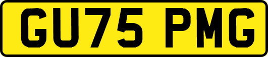 GU75PMG