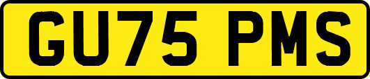 GU75PMS