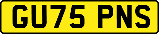 GU75PNS