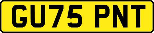 GU75PNT