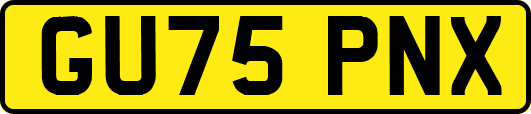 GU75PNX