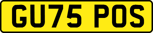 GU75POS