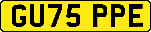 GU75PPE