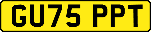 GU75PPT