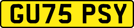 GU75PSY