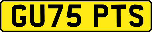 GU75PTS