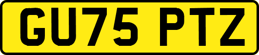 GU75PTZ