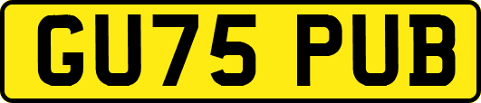 GU75PUB