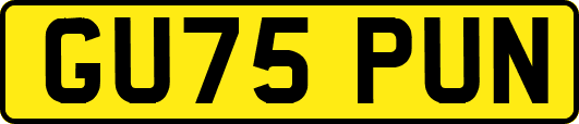 GU75PUN
