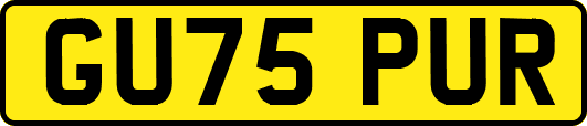 GU75PUR