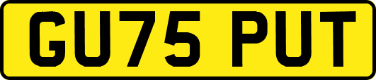 GU75PUT