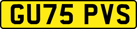 GU75PVS
