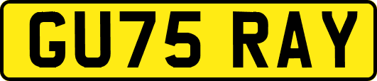 GU75RAY