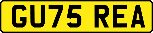 GU75REA