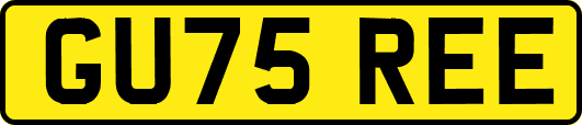 GU75REE