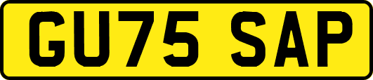 GU75SAP