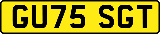 GU75SGT