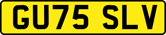 GU75SLV