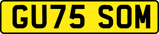 GU75SOM
