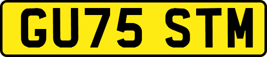 GU75STM