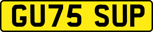 GU75SUP