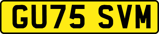GU75SVM