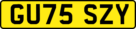 GU75SZY