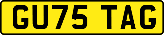 GU75TAG