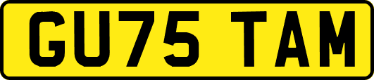 GU75TAM