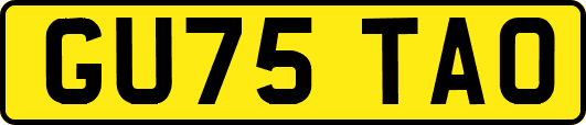 GU75TAO
