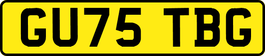 GU75TBG