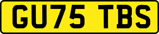 GU75TBS