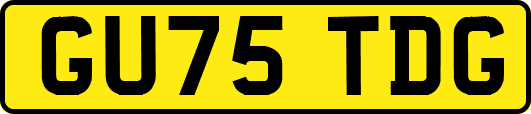 GU75TDG