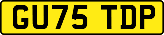 GU75TDP