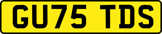 GU75TDS