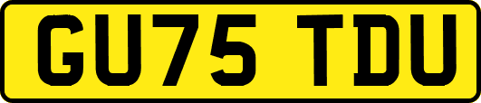 GU75TDU