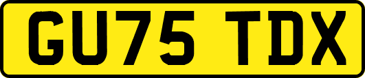 GU75TDX