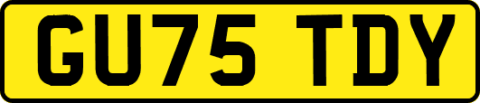 GU75TDY