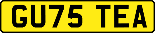 GU75TEA