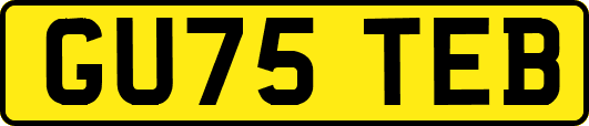 GU75TEB