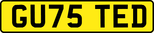 GU75TED
